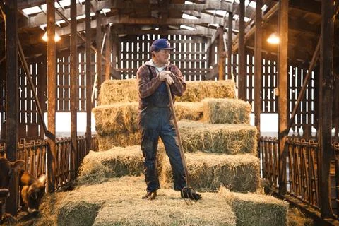 Portrait of an owner-handler of a raw milk creamery who runs the operation with Stock Photos