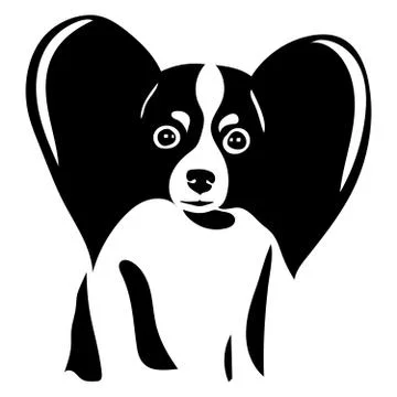 Portrait of the Papillon Stock Illustration