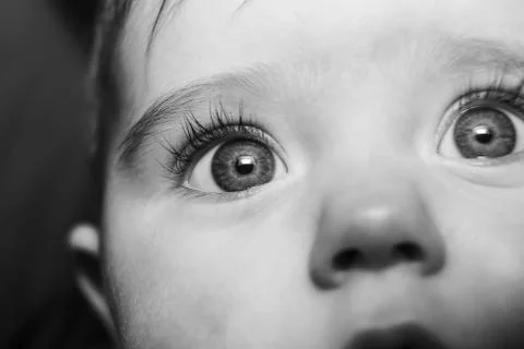 Portrait Stock Photos