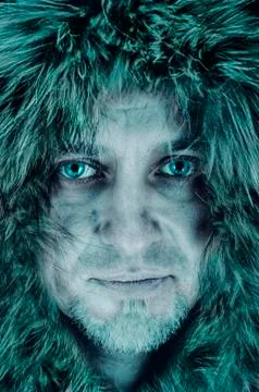 Portrait of a polar Stock Photos