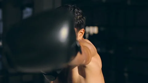 Portrait of powerfull, agressive boxer. Training in box. Stock Footage 98679893