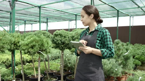 Portrait of pretty lady in apron using tablet in greenhouse touching screen Stock Footage 136199478
