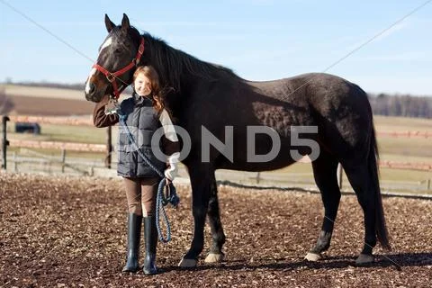 Portrait of a pretty young girl with her horse Stock Photos
