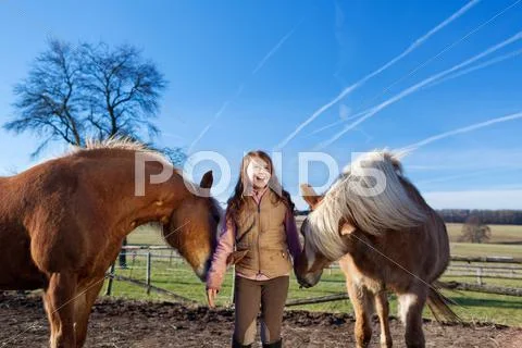 Portrait of a pretty young girl with horses Stock Photos