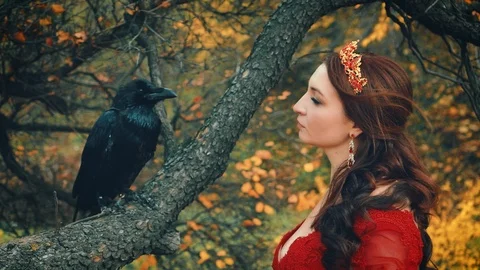 Portrait queen stroking touching big raven with tenderness. wild bird on branch Stock Footage 121885951