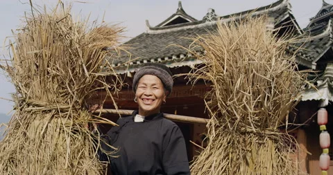Portrait of real unique authentic Asian Chinese village woman farmer with grass Vídeos de archivo 201096506