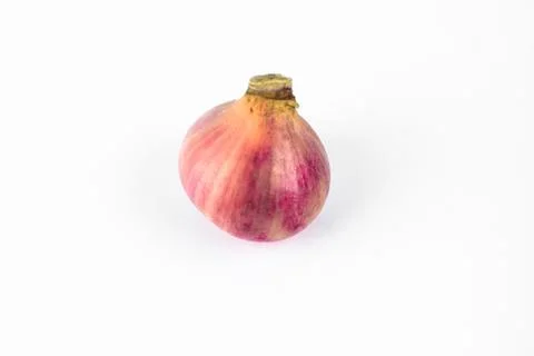 Portrait of a red colored medium sized fresh unpeeled onion on a white backgr Stock Photos