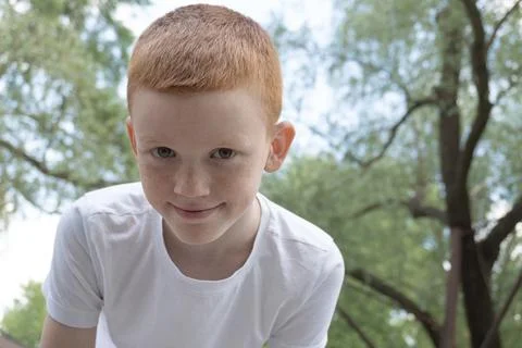 Portrait of a red-haired boy Stock Photos