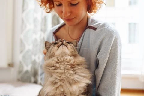 Portrait red-haired curly young woman with beloved fluffy domestic cat Stock Photos