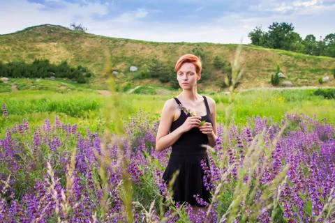 Portrait of a red-haired, short-haired, young woman in a black dress Stock Photos