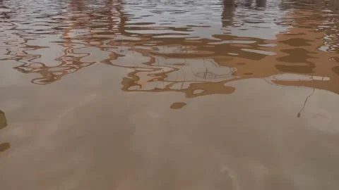 Portrait of the river is murky Video stock 152089036