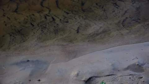 The portrait of the river is murky Stock Footage 168885143