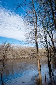 Portrait of a riverscape Stock Photos