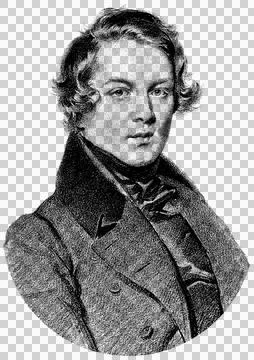 Portrait of Robert Schumann Ilustração Stock