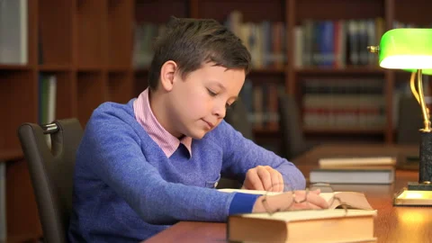 Portrait of schoolboy doing their homework in library or room. Stock Footage 96926653
