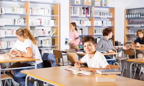 Portrait of a schoolboy preparing for an exam in school library Stock Photos