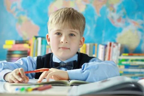  Portrait of schoolboy studying in classroom at elementary school. Stock Photos