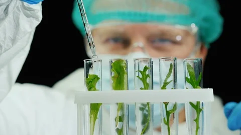 Portrait of a scientist working with plant samples in the lab Stock-Footage 126090692