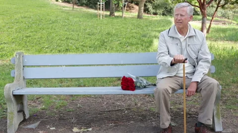 Portrait of a Senior Elderly Man Sitting on a Park Bench with Roses Stock Footage 48287703