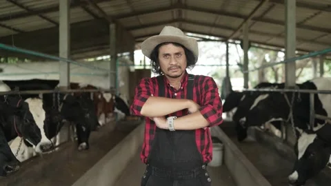 Portrait of a senior man looking at camera on husbandry. Stock Footage 182419249