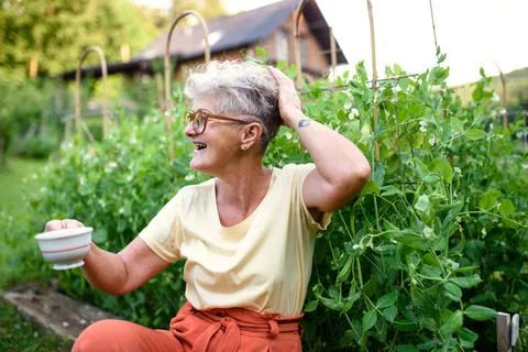 Portrait of senior woman sitting outdoors by vegetable garden, holding cup of Stock Photos