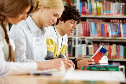 Portrait of serious groupmates preparing lessons in college library Stock Photos