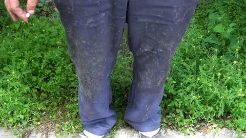 Portrait of a shoemaker fooling around on a background of green pine needles Stock Footage 77884053