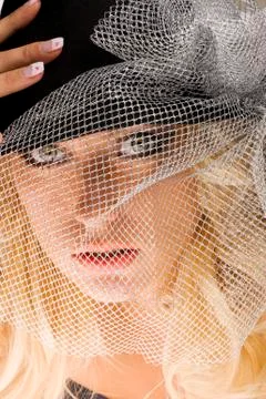 Portrait with silver net Stock Photos