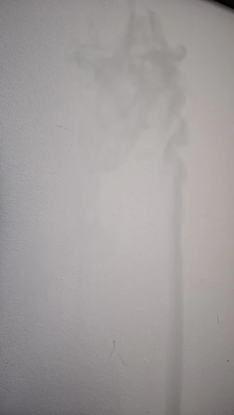 Portrait Slow Mo Smoke Stock Footage 308659465