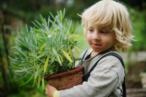 Portrait of small boy with eczema standing outdoors, holding potted plant. Stock Photos