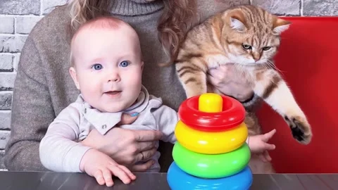 Portrait of small kid and ginger cat. Stock Footage 177314691