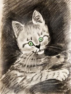 Portrait of a small striped kitten.  스톡 일러스트