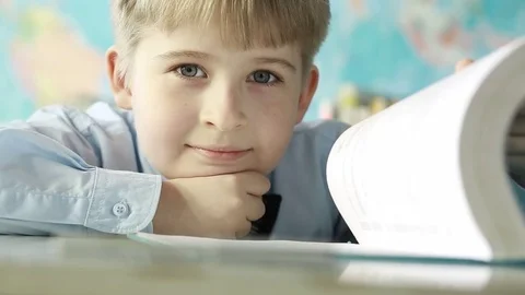 Portrait of a smiling boy with a book. Stock Footage 74426131