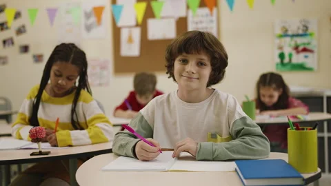 Portrait of smiling boy studying in elementary school classroom learning Stock Footage 333584352