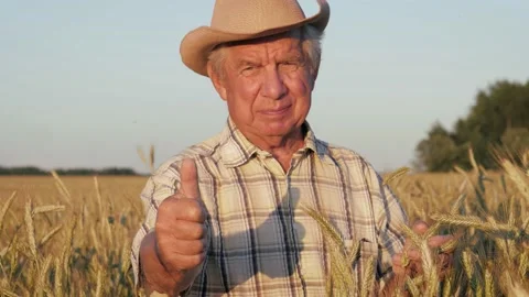 Portrait Of Smiling Elderly Man In Hat Giving A Thumbs Up In Field Of Wheat Stock Footage 134947850
