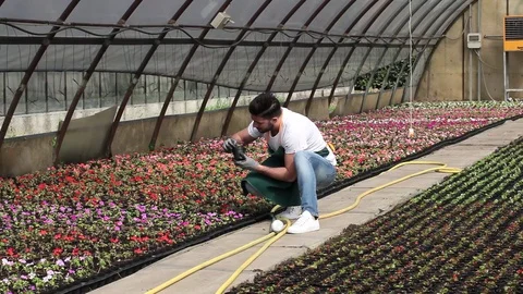 Portrait of a smiling greenhouse worker Stock Footage 74298865