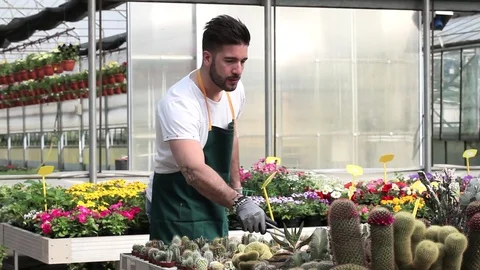 Portrait of a smiling greenhouse worker Stock Footage 74298991