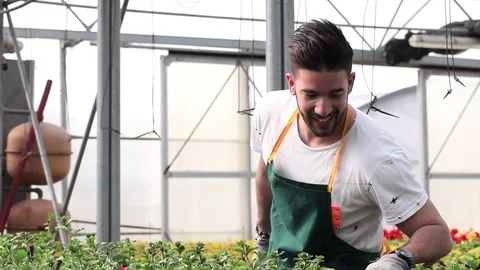 Portrait of a smiling greenhouse worker Stock Footage 74299083