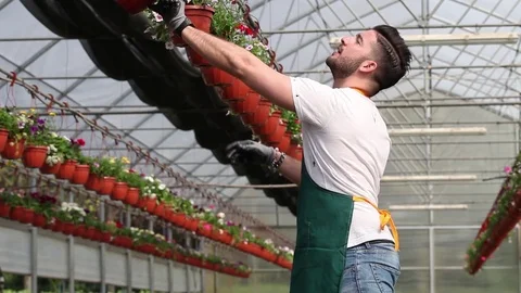 Portrait of a smiling greenhouse worker Stock Footage 74299256