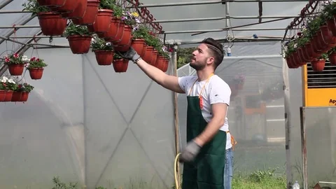 Portrait of a smiling greenhouse worker Stock Footage 74299368