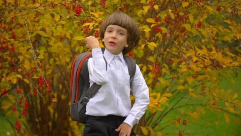 Portrait of smiling happy cute boy schoolboy with backpack laughing to camera Stock Footage 100105161