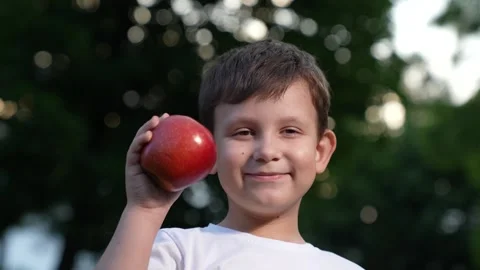 Portrait smiling little boy posing red fresh whole apple outdoor at summer park Stock Footage 271617996