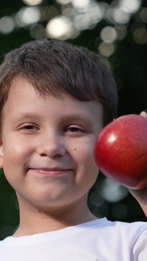 Portrait smiling little boy posing red fresh whole apple outdoor at summer park Stock Footage 275915002