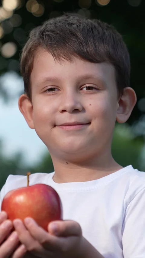 Portrait smiling little boy posing red fresh whole apple outdoor at summer park Stock Footage 276512431