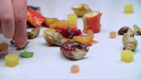 A portrait of snails and octopuses on a white background. Stock Footage 77610057
