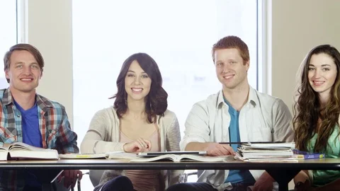 Portrait of students studying Stock-Footage 80227266