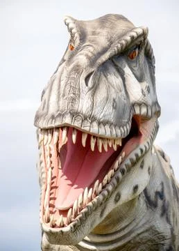 Portrait of a T-Rex Stock Photos