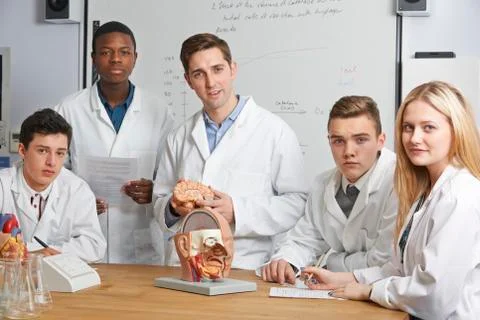 Portrait Of Teacher And Students In Biology Class Stock Photos