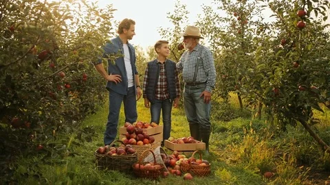 Portrait of three male generations. Littele cute son, his father and grandfather Stock Footage 82642885