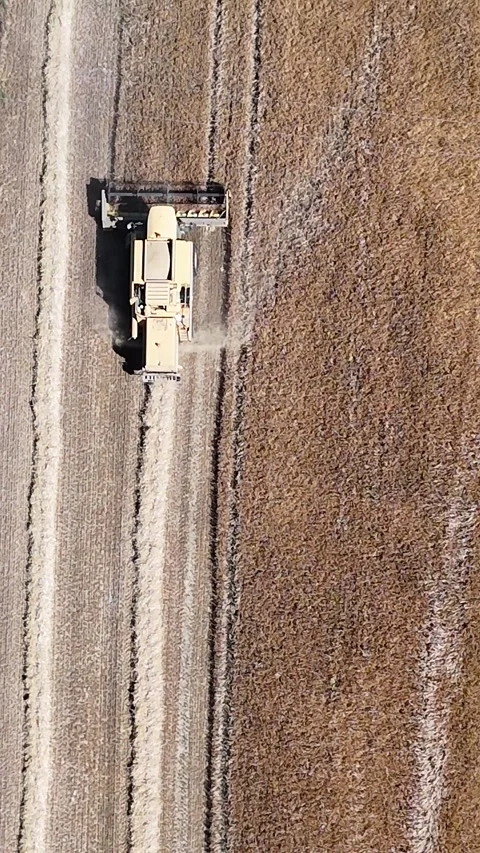 Portrait tracking a combine during the summer harvest. Stock Footage 326644487
